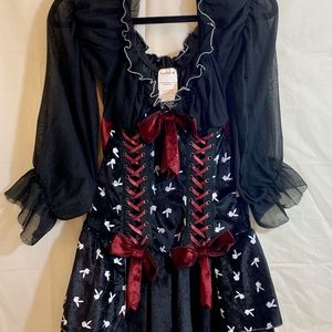 Adult Sexy Swashbuckler Costume